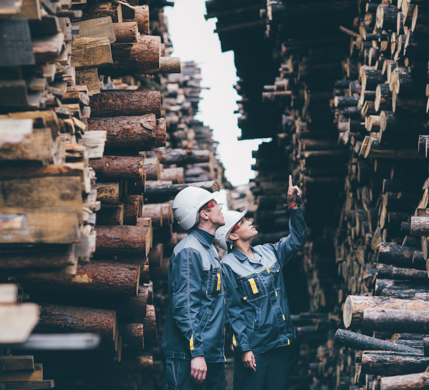 GoPivot + Forestry Case Study
