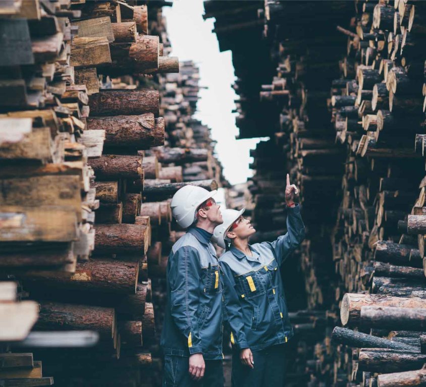 GoPivot + Forestry Case Study