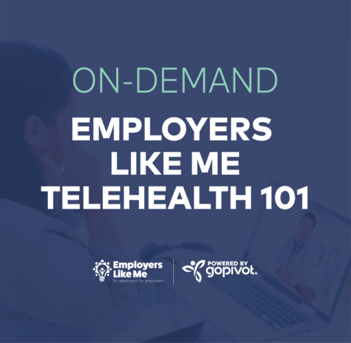 On-Demand: Employers Like Me Virtual Series: Telehealth 101