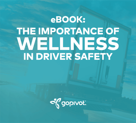 eBook: The Importance of Wellness in Driver Safety