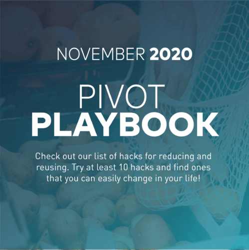 Pivot Playbook: November 2020