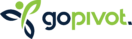 GoPivot