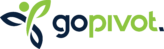 GoPivot